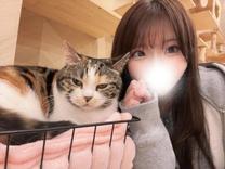 �u���O�摜