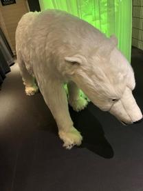 �A��܂���