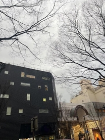 �u���O�摜