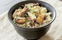 �u���O�摜