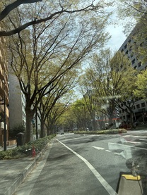 �u���O�摜