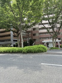 �u���O�摜