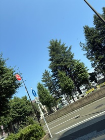 �u���O�摜