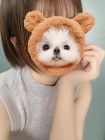 ~̚