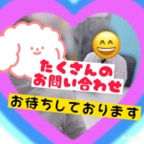 ブログ画像