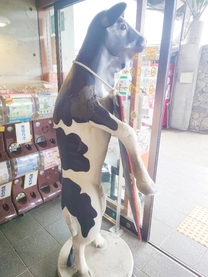 ދ