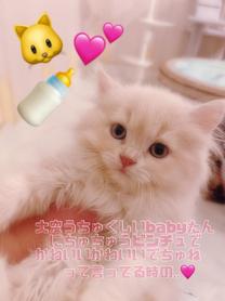 `肪...