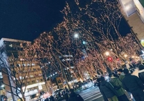 �܂�����