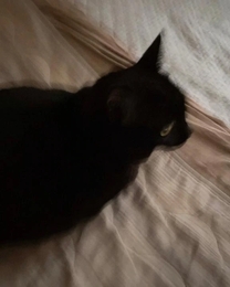 �����͂��x��