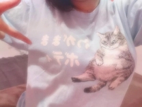 ͂悤