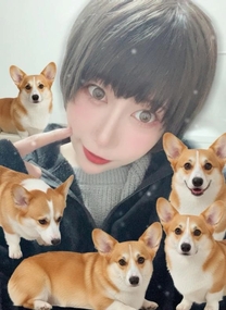 �u���O�摜