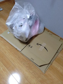 �u���O�摜