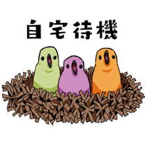 �u���O�摜