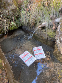 ���傤�ǂ���