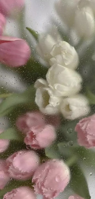 ŋ
