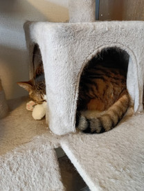 ���イ���イ