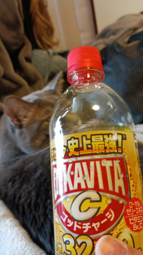 ����J��...