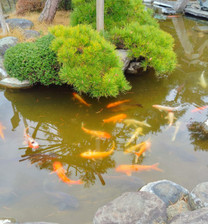 ���ε����β���