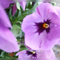 ���ε����β���