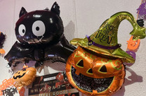 �u���O�摜