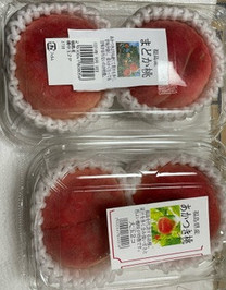 �u���O�摜