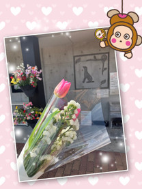 ��C�ɉ����I�H�̉摜