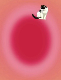n`?