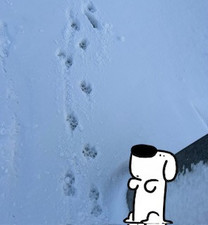 ���ε����β���