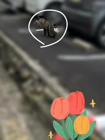 ���ε����β���