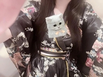 �u���O�摜