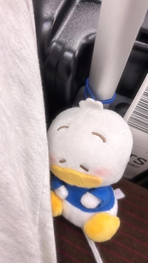 �u���O�摜