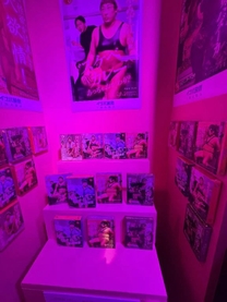 �s���N�Ȏ���