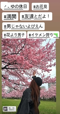 �u���O�摜