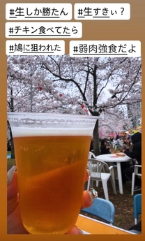 �u���O�摜