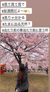 �u���O�摜
