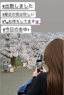 �u���O�摜