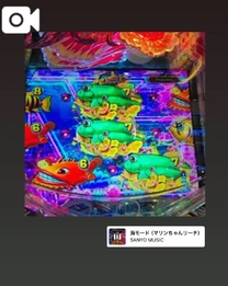 �u���O�摜