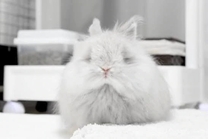 ��������...