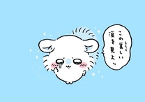 �u���O�摜
