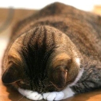 ߂Ȃ