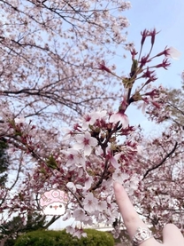 �u���O�摜