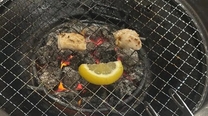 �u���O�摜