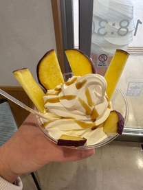 �u���O�摜