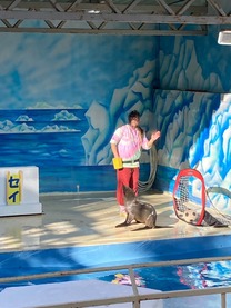 �u���O�摜