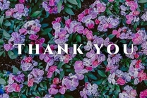 ���ε����β���