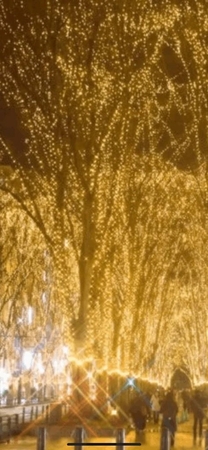 ���ε����β���