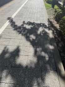 m点???