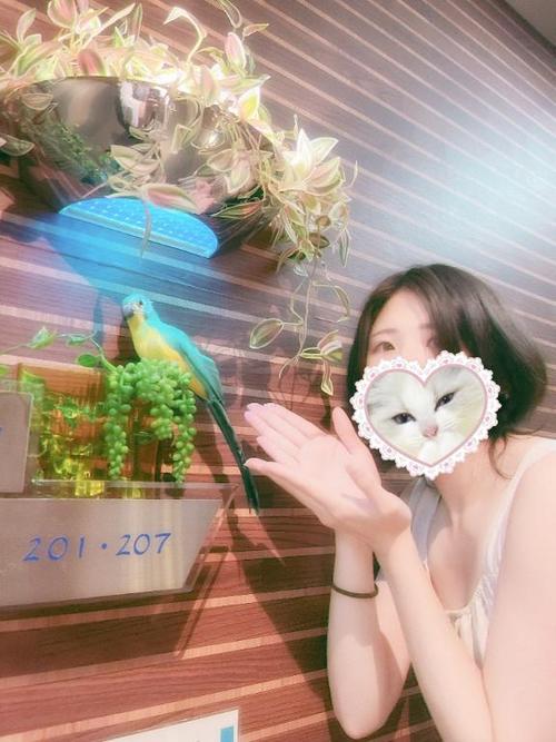 L̉摜3