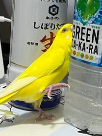 ??