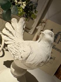 �݁[�����c...